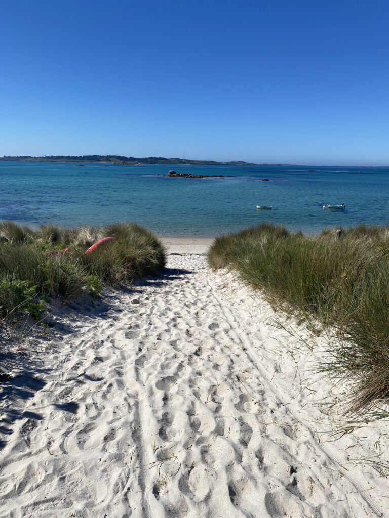 Sandy path lined by beach shrubs, leading to blue sea.  Emphasises the beauty of nature and how it makes us feel 'at home'